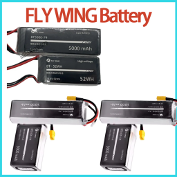 Batterie LiPo FLY WING FW450 F - Rc Helicopter Bag avis et prix