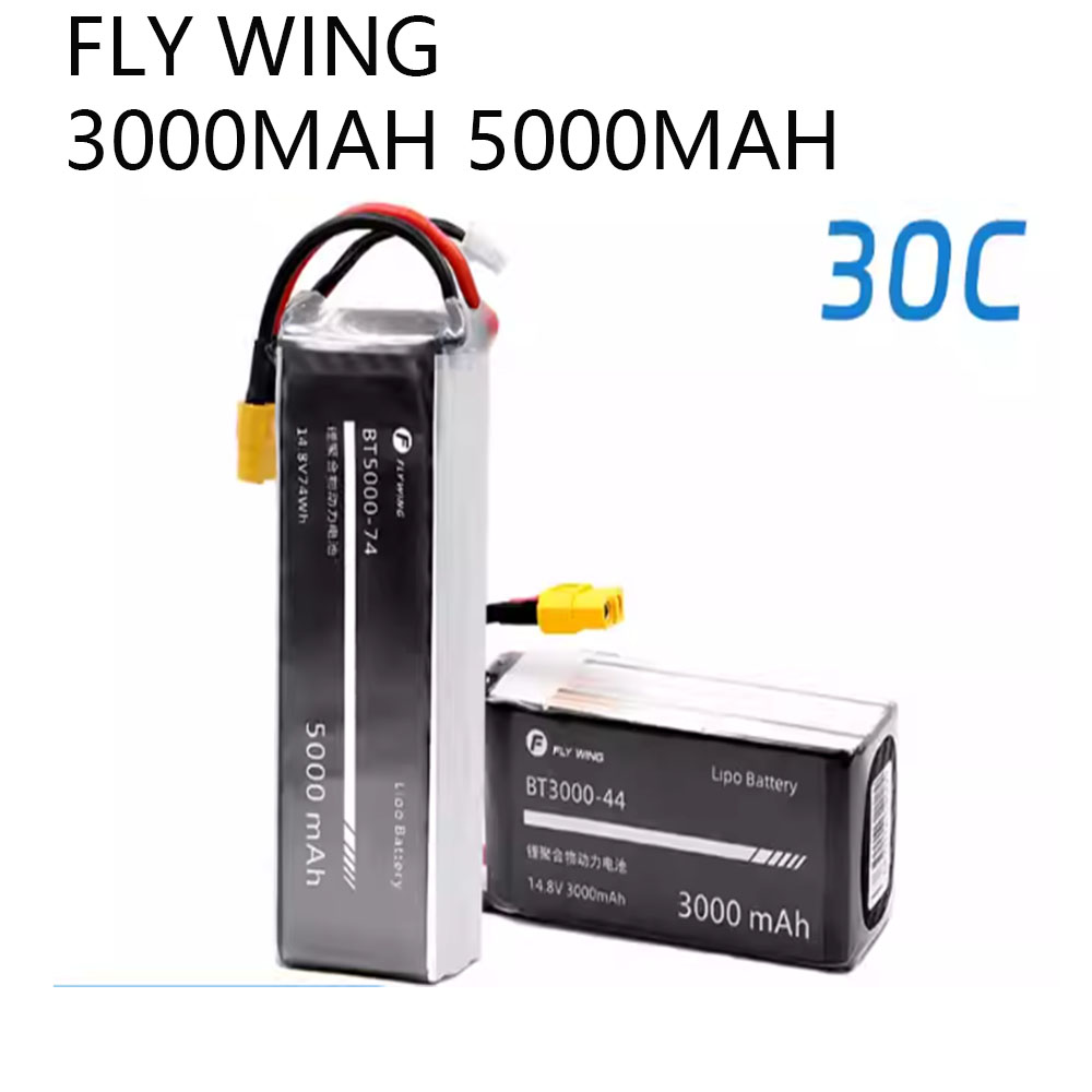 Batterie LiPo FLY WING FW450 F - Rc Helicopter Bag avis et prix